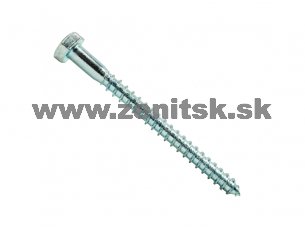 Skrutka do dreva so šesťhrannou hlavou 6mm