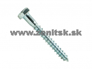 Skrutka do dreva so šesťhrannou hlavou 6mm <br/><span...